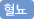 혈뇨