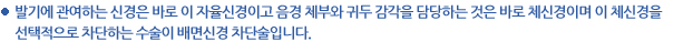 발기에 관여하는 신경은 바로 이 자율신경이고 음경 체부와 귀두 감각을 담당하는 것은 바로 체신경이며 이 체신경을 선택적으로 차단하는 수술이 배면신경 차단술입니다. 