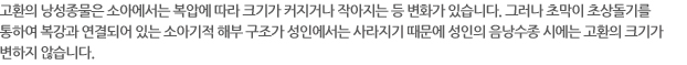 고환의 낭성종물은 소아에서는 복압에 따라 크기가 커지거나 작아지는 등 변화가 있습니다. 그러나 초막이 초상돌기를 통하여 복강과 연결되어 있는 소아기적 해부 구조가 성인에서는 사라지기 때문에 성인의 음낭수종 시에는 고환의 크기가 변하지 않습니다.