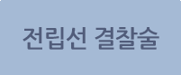 전립선결찰술